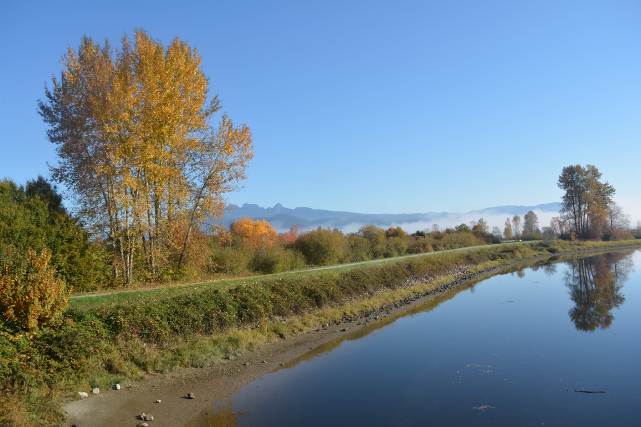 River and Golden Ears mountain view in Pitt Meadows, British Columbia.