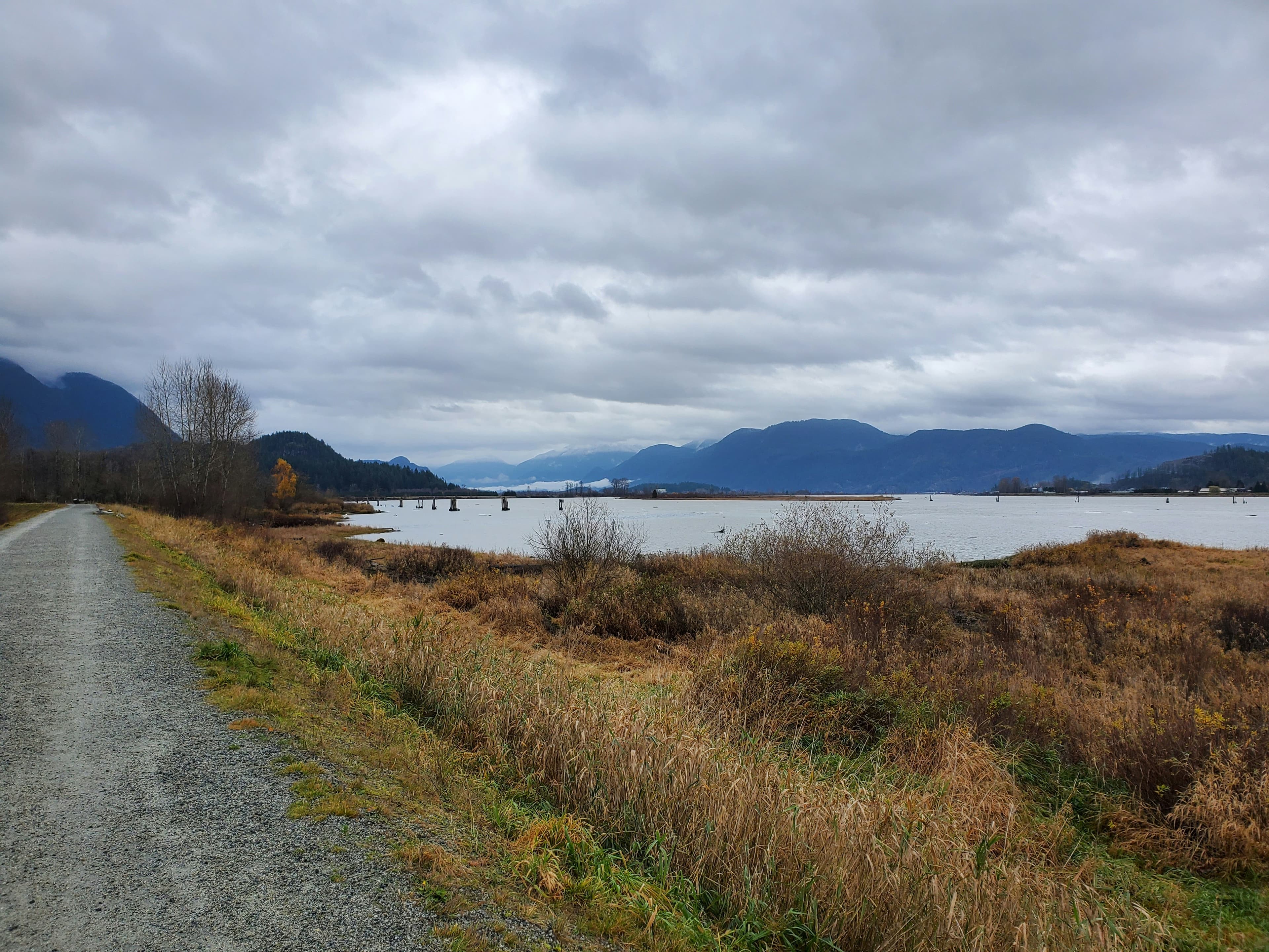 Riverside trail and mountain view in Port Coquitlam, British Columbia.